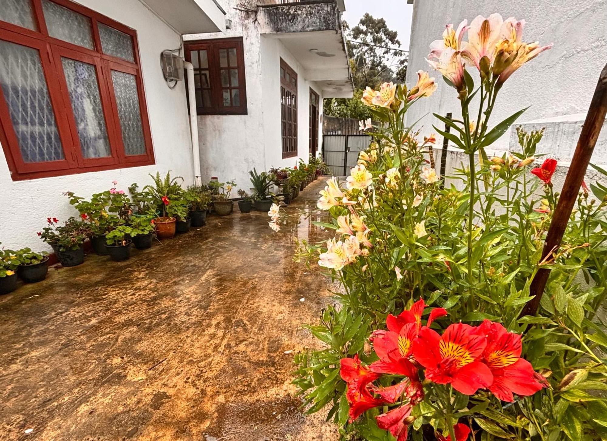 Shiny View Hotel Nuwara Eliya Bagian luar foto